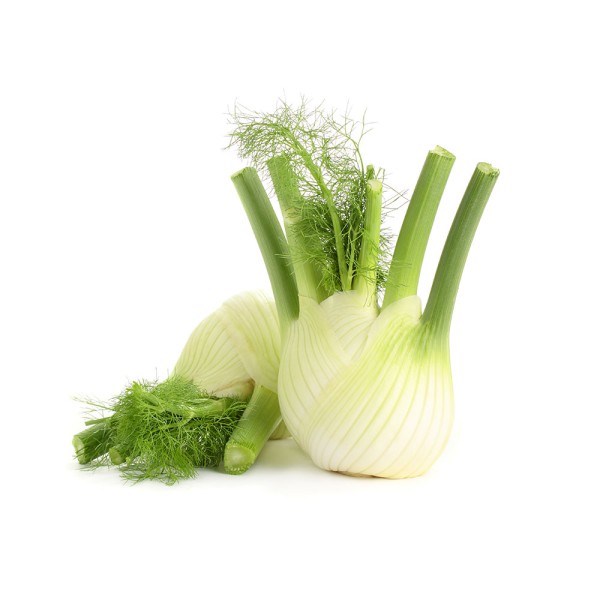 Fennel Imported Per Kg 109282-V001 by Spinneys Fresh Produce Market