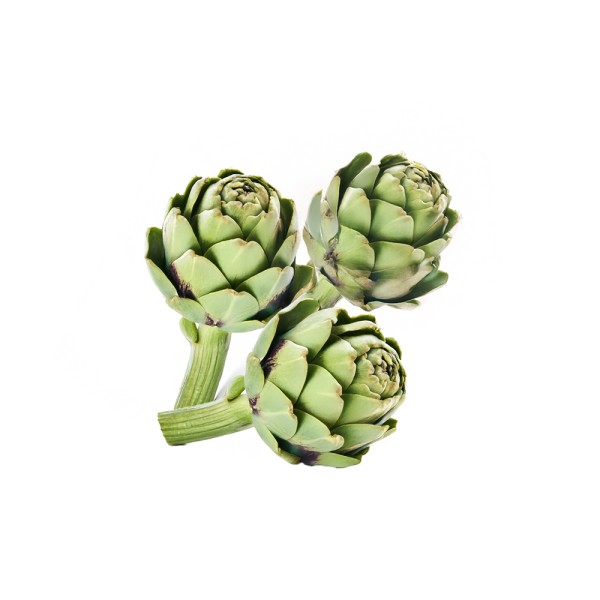 ARTICHOKE LOCAL