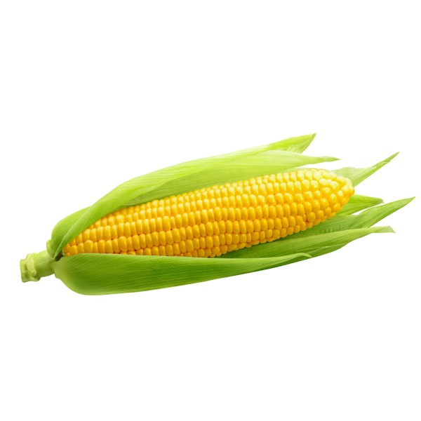 Sweet Corn 1 Piece 109356-V001 by Spinneys Fresh Produce Market