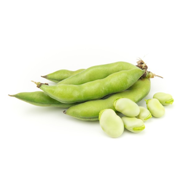 Fresh Fava Beans per Kg 109368-V001 by Spinneys Fresh Produce Market