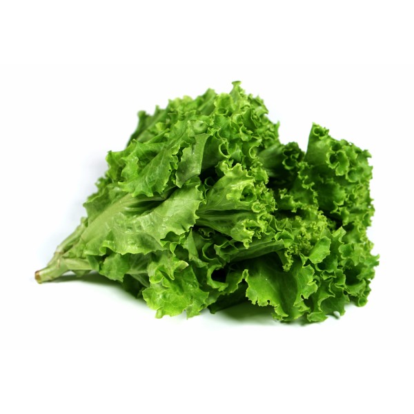 Lollo Verde per Kg 109609-V001 by Spinneys Fresh Produce Market