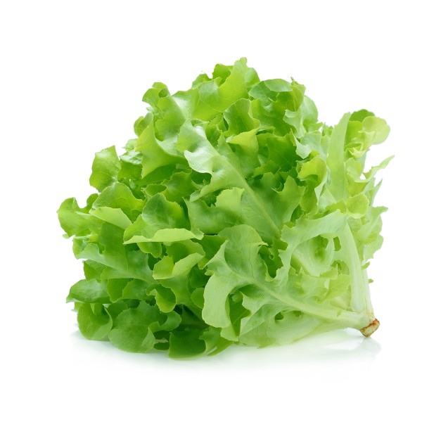 Oakleaf Green Lettuce per Piece 109621-V001 by Spinneys Fresh Produce Market