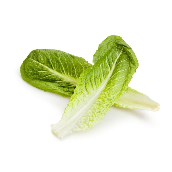 Romaine Lettuce Extra 1 Pc 109641-V001 by Spinneys Fresh Produce Market
