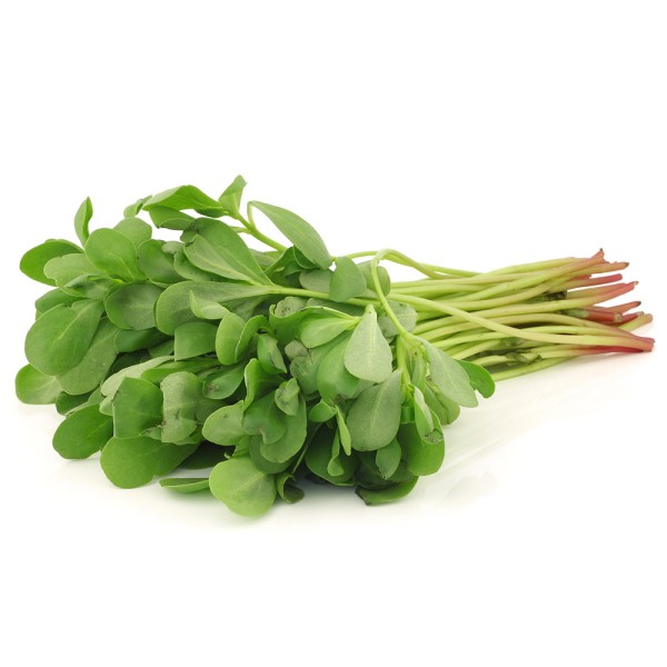 Purslane, One Bunch 109660-V001 by Spinneys Fresh Produce Market