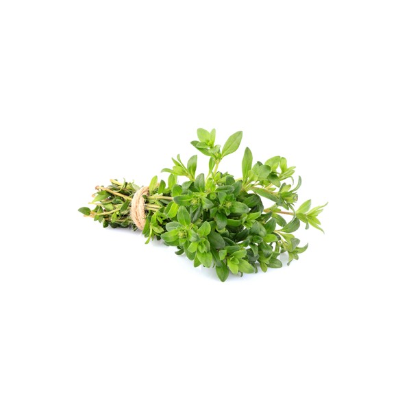 THYME BALADI