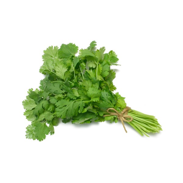 Coriander, One Bunch 109785-V001 by Spinneys Fresh Produce Market