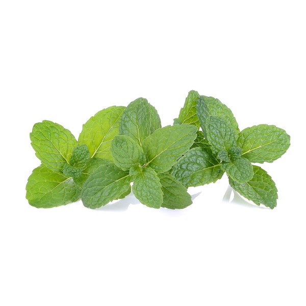 Mint, One Bunch 109790-V001 by Spinneys Fresh Produce Market