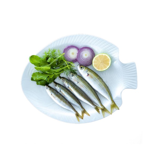 BOGUE/GHOBOS 127397-V001 by Spinneys Fresh Fish Market