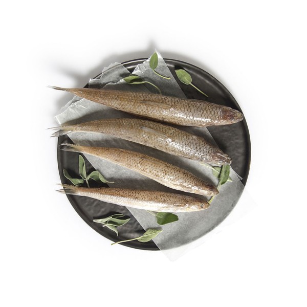 Aarmout per Kg 127406-V001 by Spinneys Fresh Fish Market