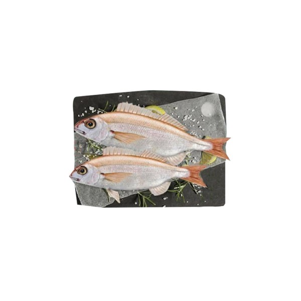 RED BREAM/JARBIDEH 127411-V001 by Spinneys Fresh Fish Market