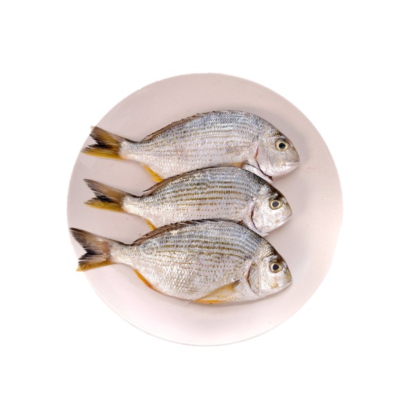 SEA BREAM/FARRIDE 127412-V001 by Spinneys Fresh Fish Market