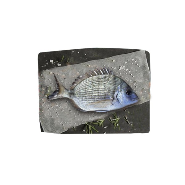 WHITE BREAM/SARGHOUS 127416-V001 by Spinneys Fresh Fish Market