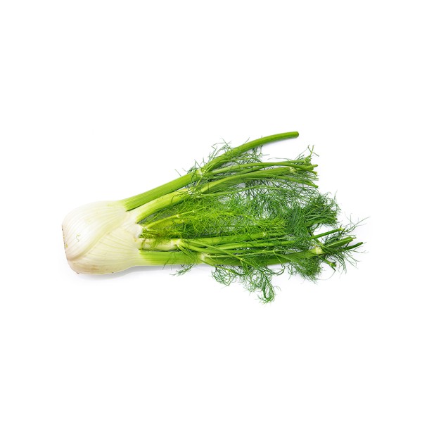 FENNEL LOCAL