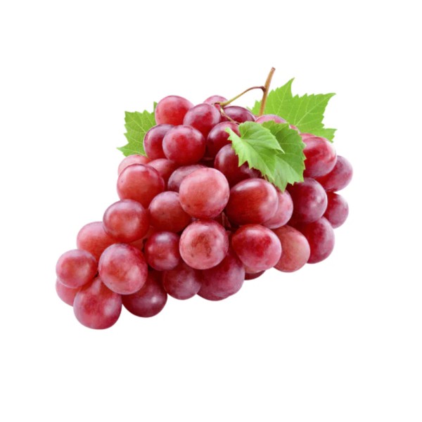 GRAPE RED GLOBE LOCAL