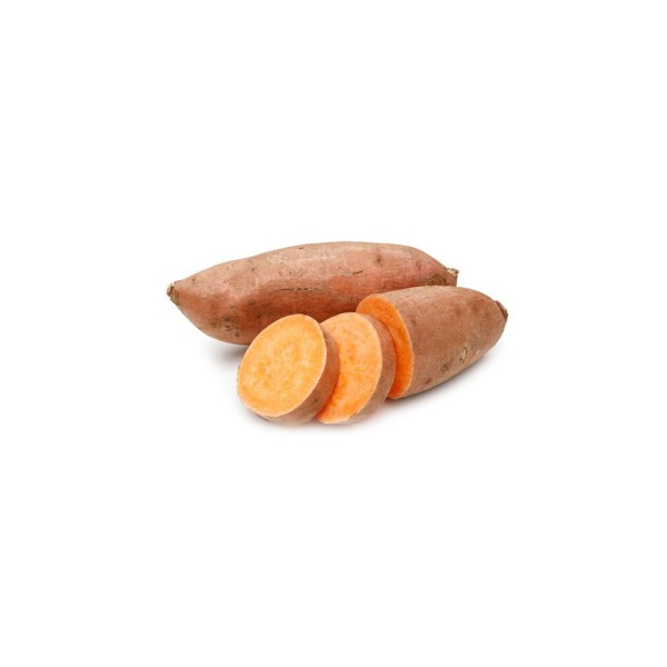 SWEET POTATO 140775-V001 