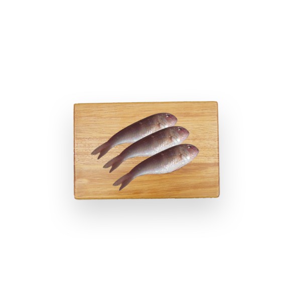 SULTAN GHASSANI 275906-V001 by Spinneys Fresh Fish Market