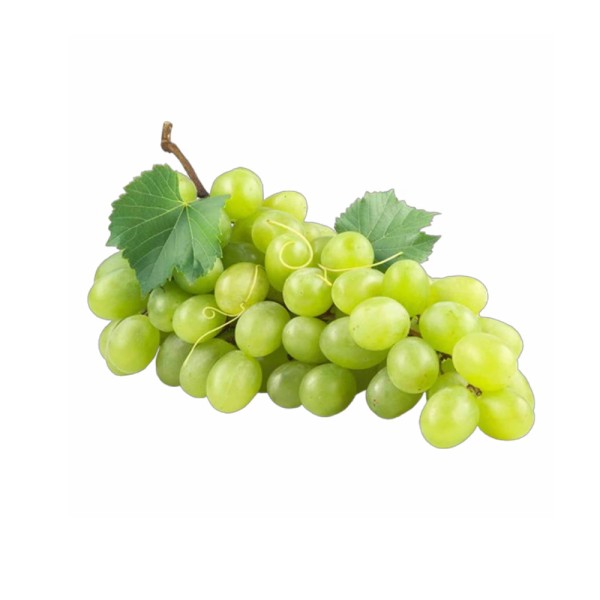 GRAPE THOMSON SEEDLES LOCAL