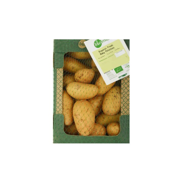 BIOMASS POTATO
