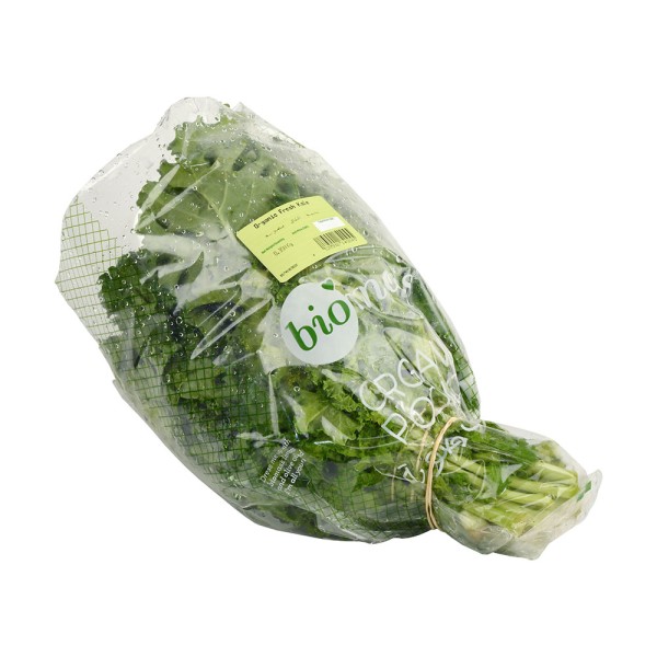 Biomass Biomass Kale 363922-V001 by Biomass