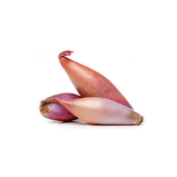 SHALLOTS IMPORTED