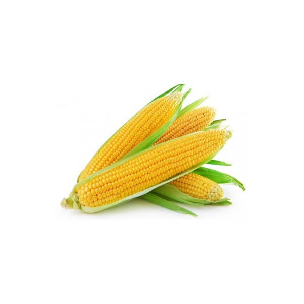 PRODUCE CORN READY TO EAT PC
