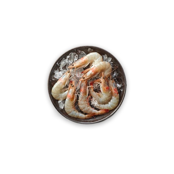 SHRIMPS 40/50 401980-V001 