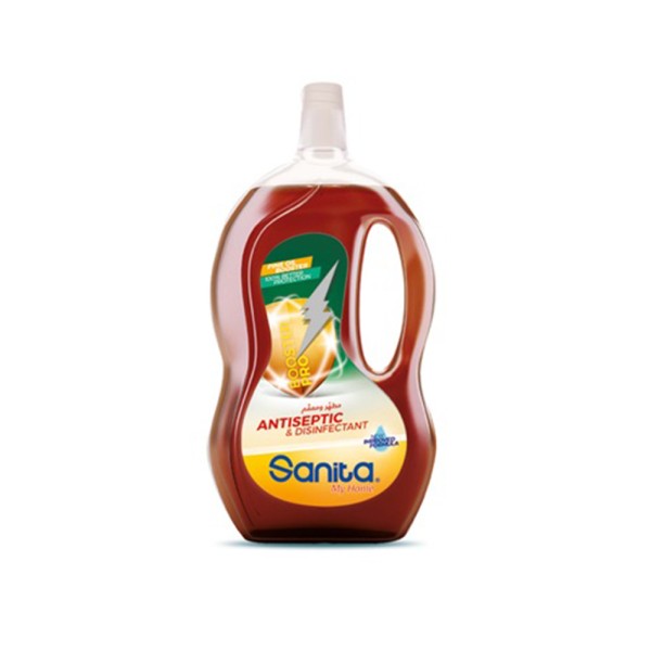 SANITA ANTISEPTIC DISINFECTANT