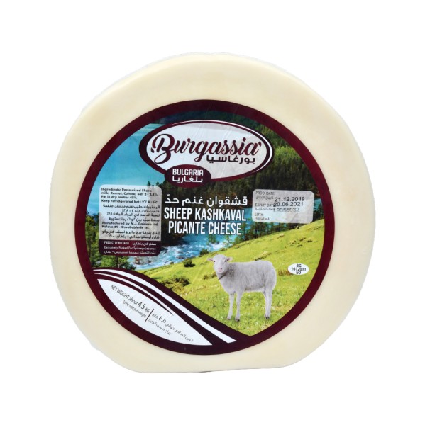 Burgassia Kashkaval Sheep Cheese Picante 488211-V001 by Burgassia