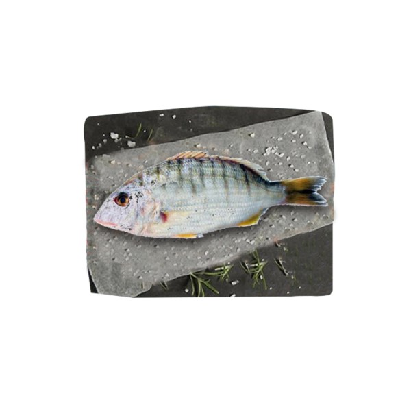 MARMOUR BALADI 507131-V001 by Spinneys Fresh Fish Market