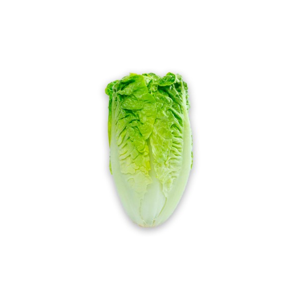 LETTUCE LITTLE GEM LCL