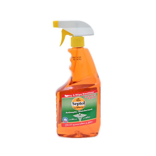 Septol Antiseptic Disinfectant Spray 825Ml 521093-V001 by Septol