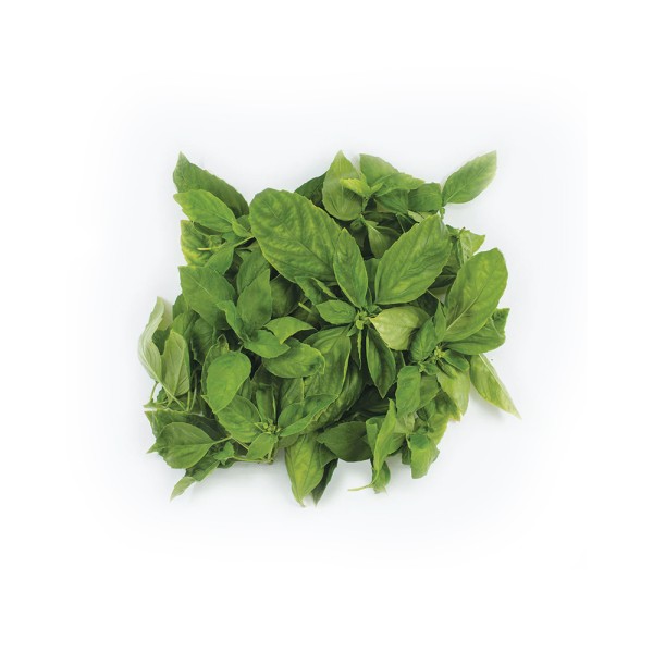 BASIL BAG LCL