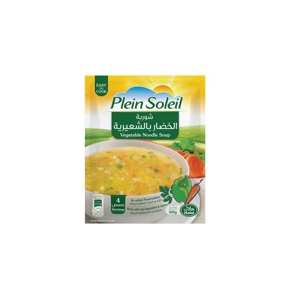 PLEIN SOLEIL VEGETABLE NOODLE SOUP
