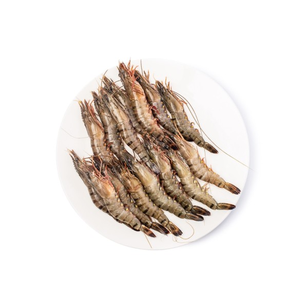 FISH SHRIMPS BLACK TIGER 13/15
