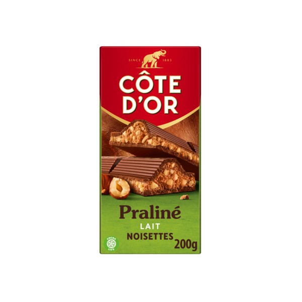 COTE D OR PRALINE DOUBLE NOISETTES