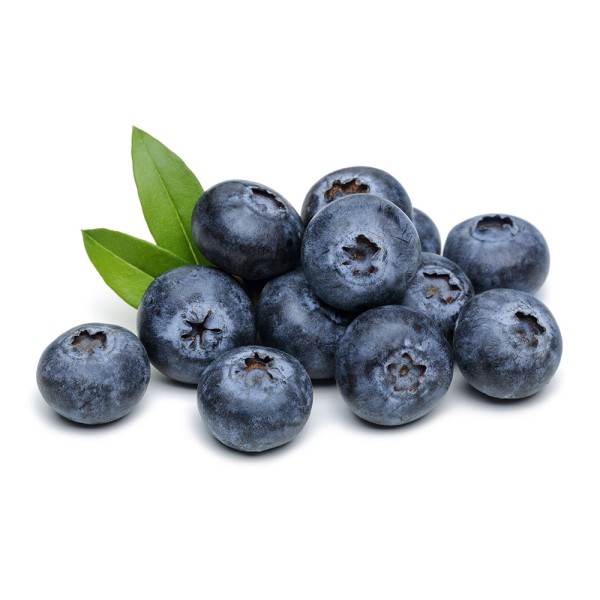 BLUEBERRIES PUNNET