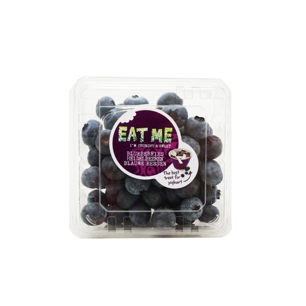 BLUEBERRIES PUNNET