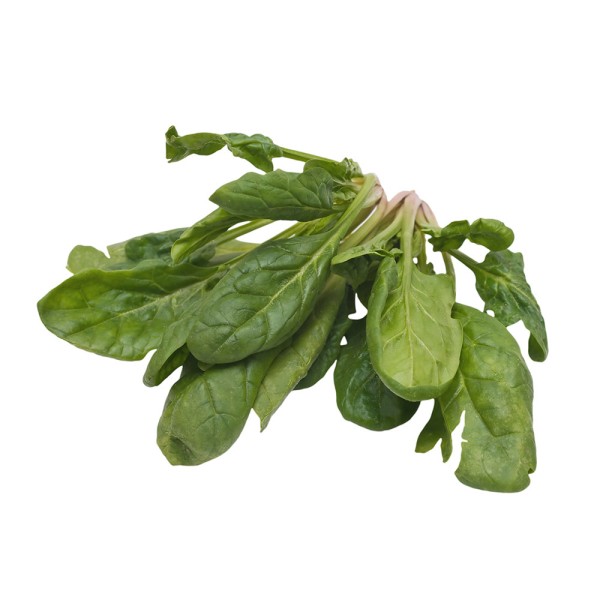 SPINACH BUNCH