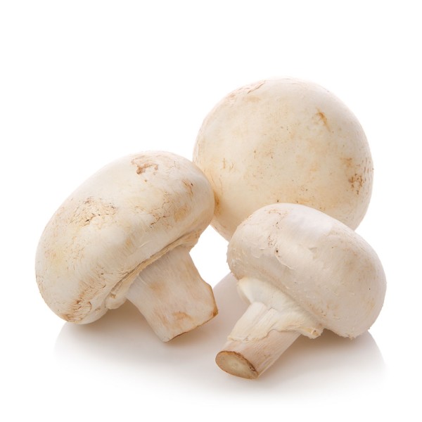 MUSHROOM WHITE LOOSE