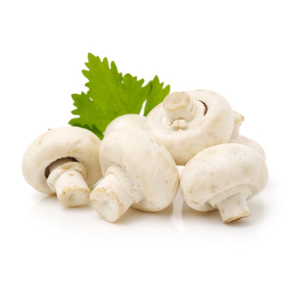 MUSHROOM WHITE PRE PACK