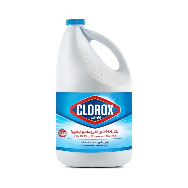 CLOROX BLEACH REGULAR