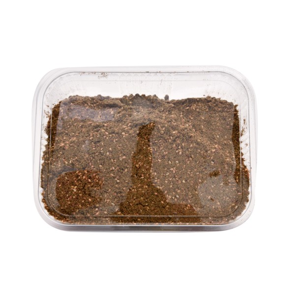 HOUSE OF OLIVE ZAATAR BALADI EXTRA