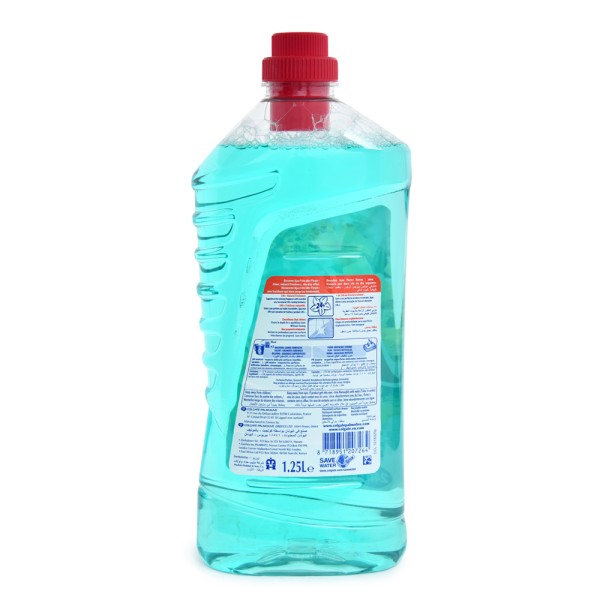Ajax Fete Des Fleurs Lagoon 1.25L