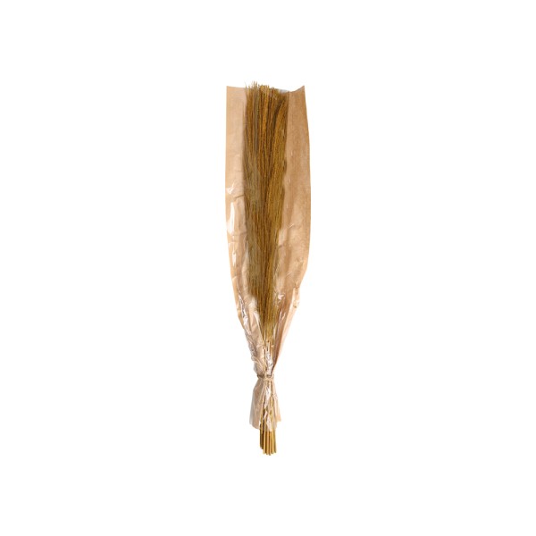 HARD GOODS BRANCHES NATURAL DRIED MATERIA