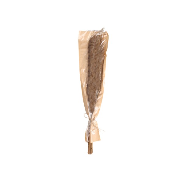 HARD GOODS BRANCHES NATURAL DRIED MATERIA