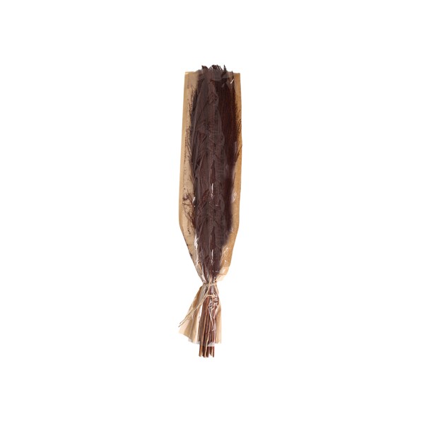 HARD GOODS BRANCHES NATURAL DRIED MATERIA