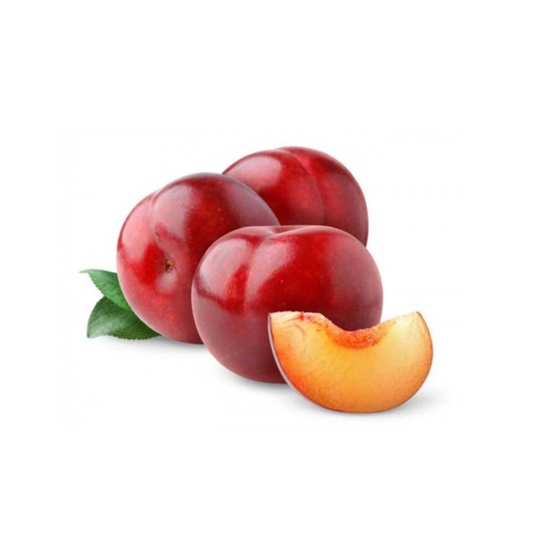 PLUM RED LOOSE