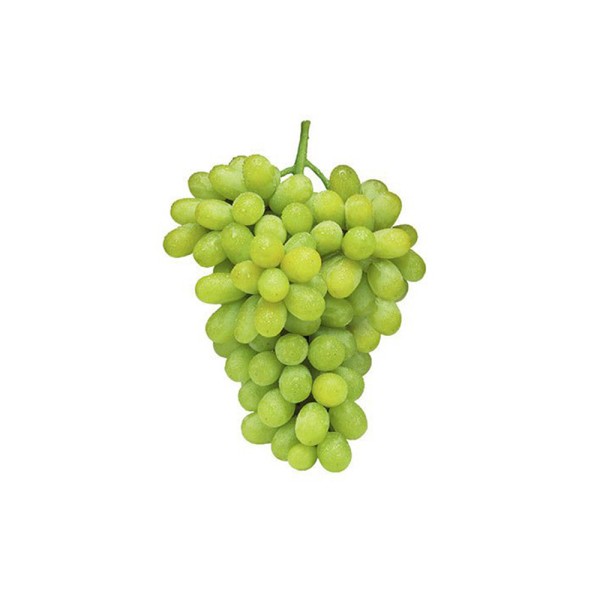 GRAPE THOMSON