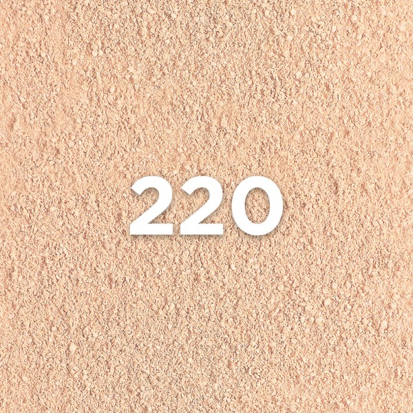 LOREAL INFAILLIBLE COMPACT POWDER 220