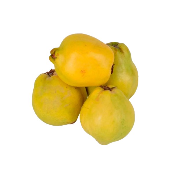 QUINCE IMPORTED